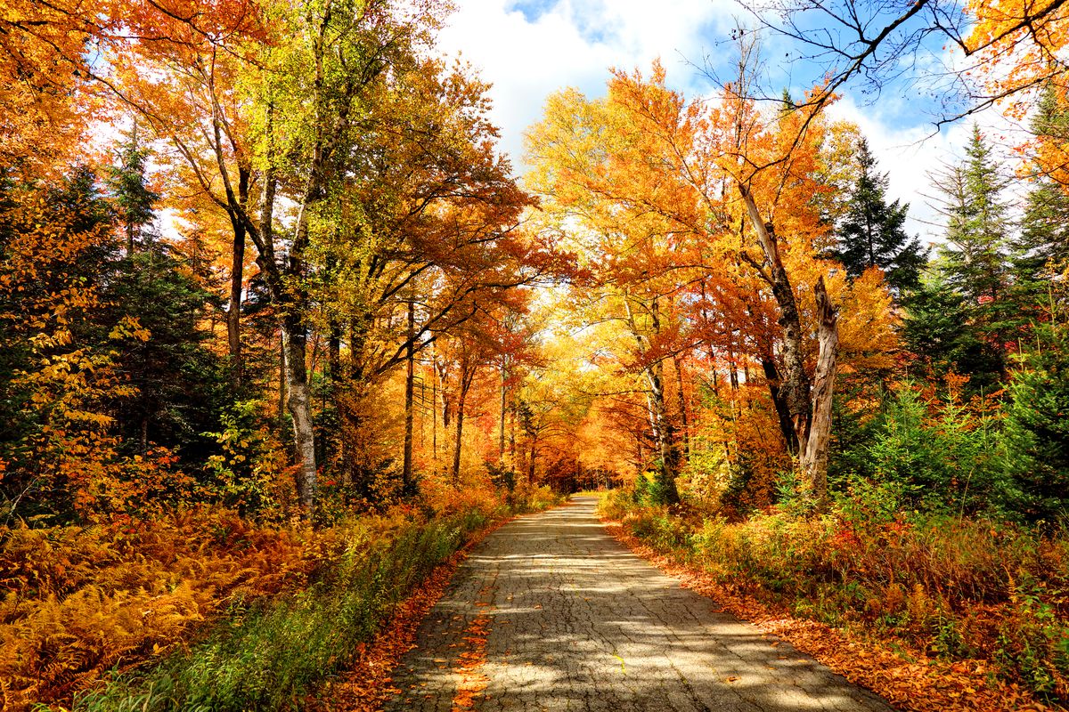 Things to do in October